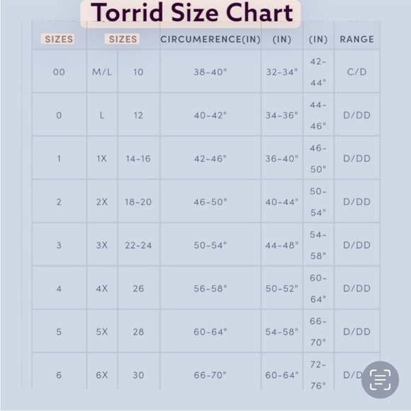 TORRID Smocked Off Shoulder Sheer  Top Size 4X Grey Long Sleeves Balletc… - Picture 7 of 7